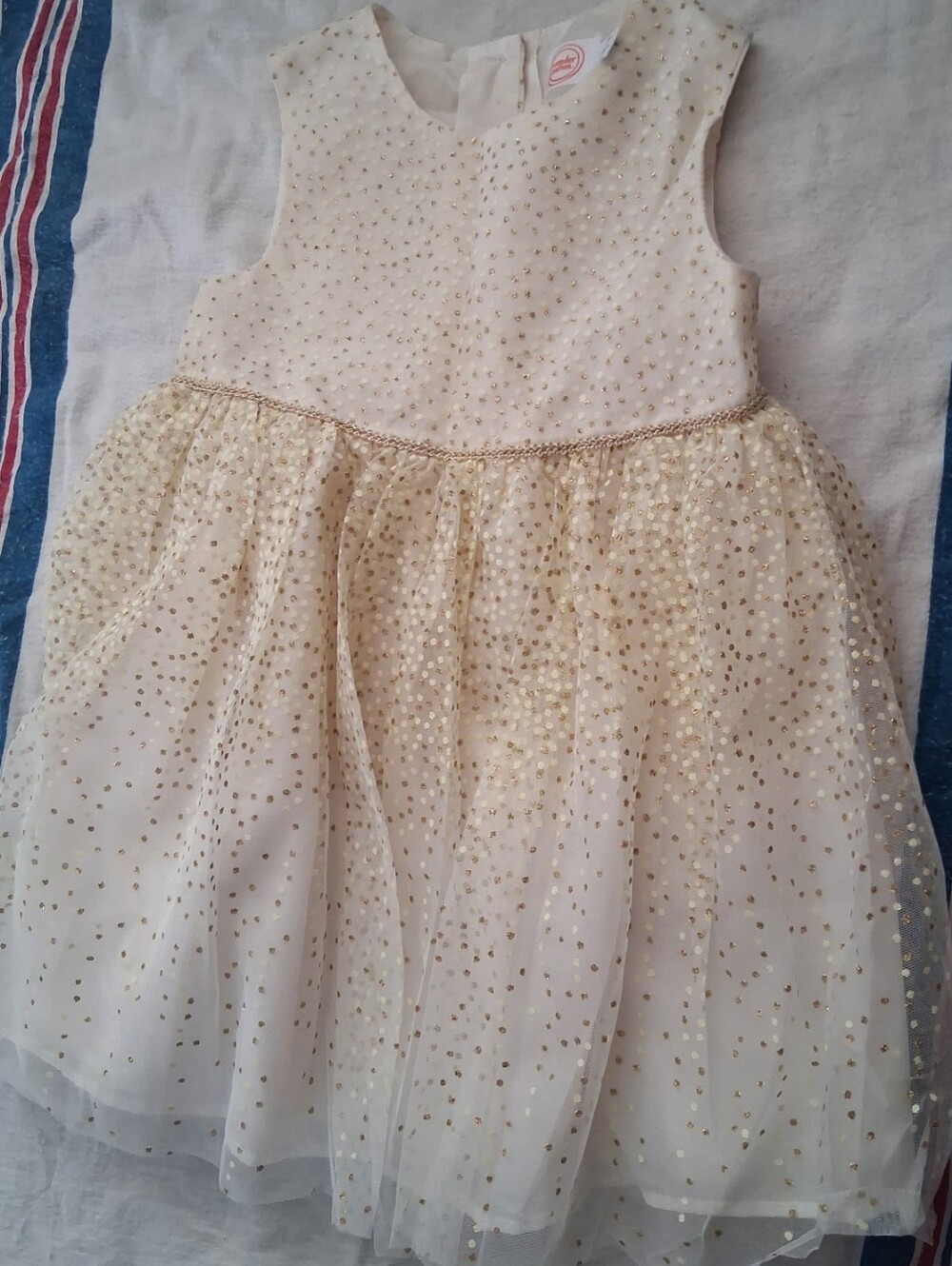 Ivory & Gold Sparkle Tulle Dress for Girls